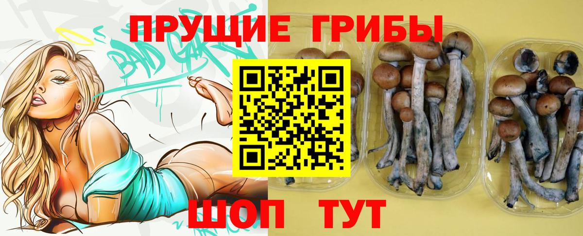 как найти наркотики  Вход с VPN  Дедовск  Псилоцибиновые грибы мухоморы 