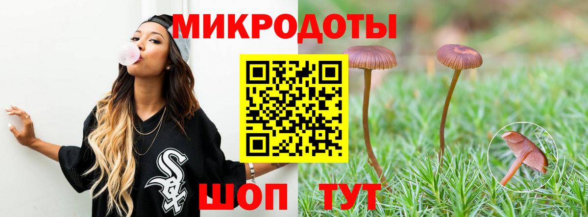 Галлюциногенные грибы Psilocybine cubensis Дедовск