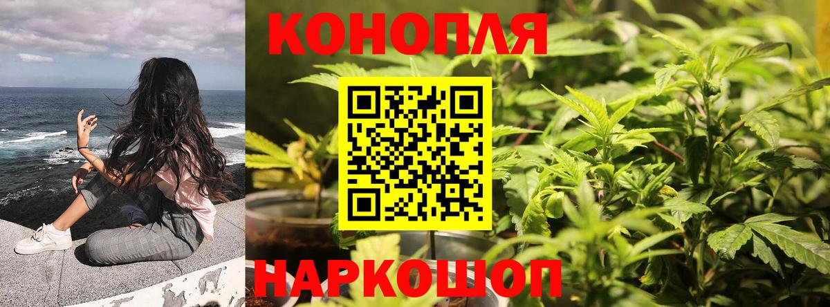 Шишки марихуана Bruce Banner Дедовск